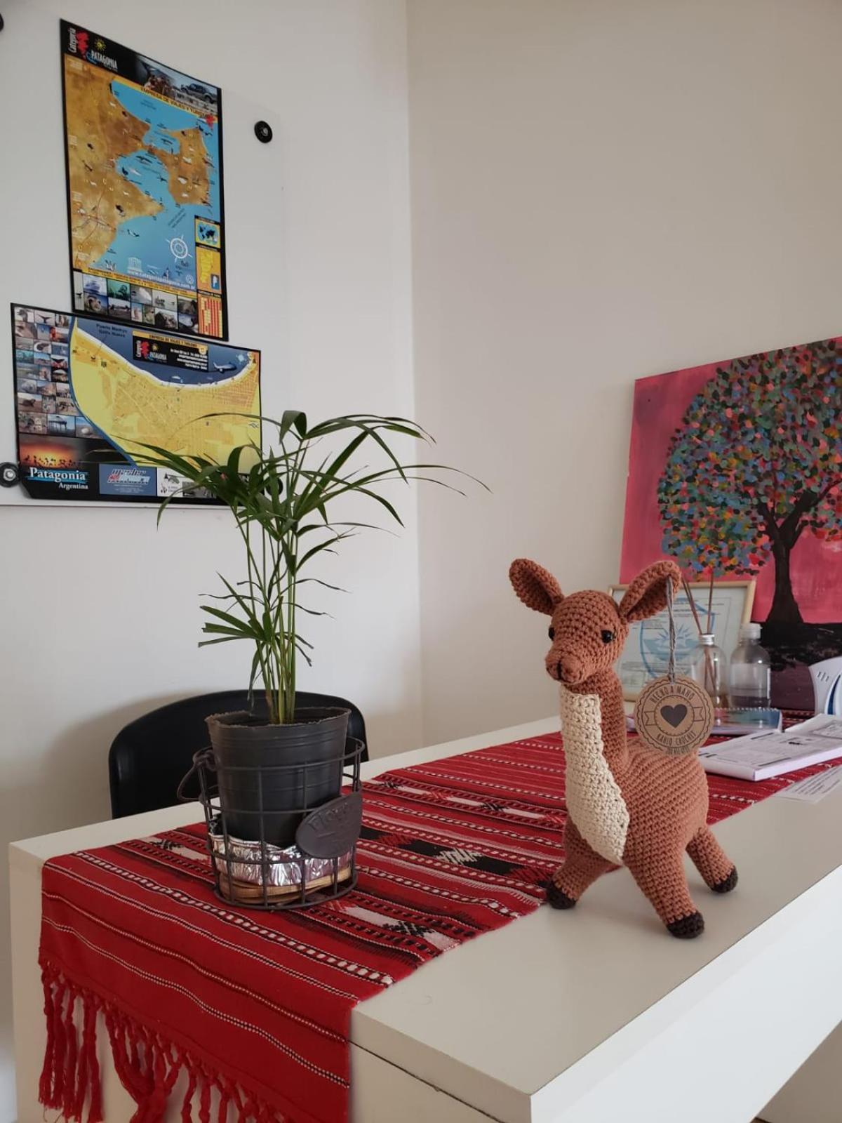 Guanaco Hostel Πουέρτο Μαντρίν Εξωτερικό φωτογραφία